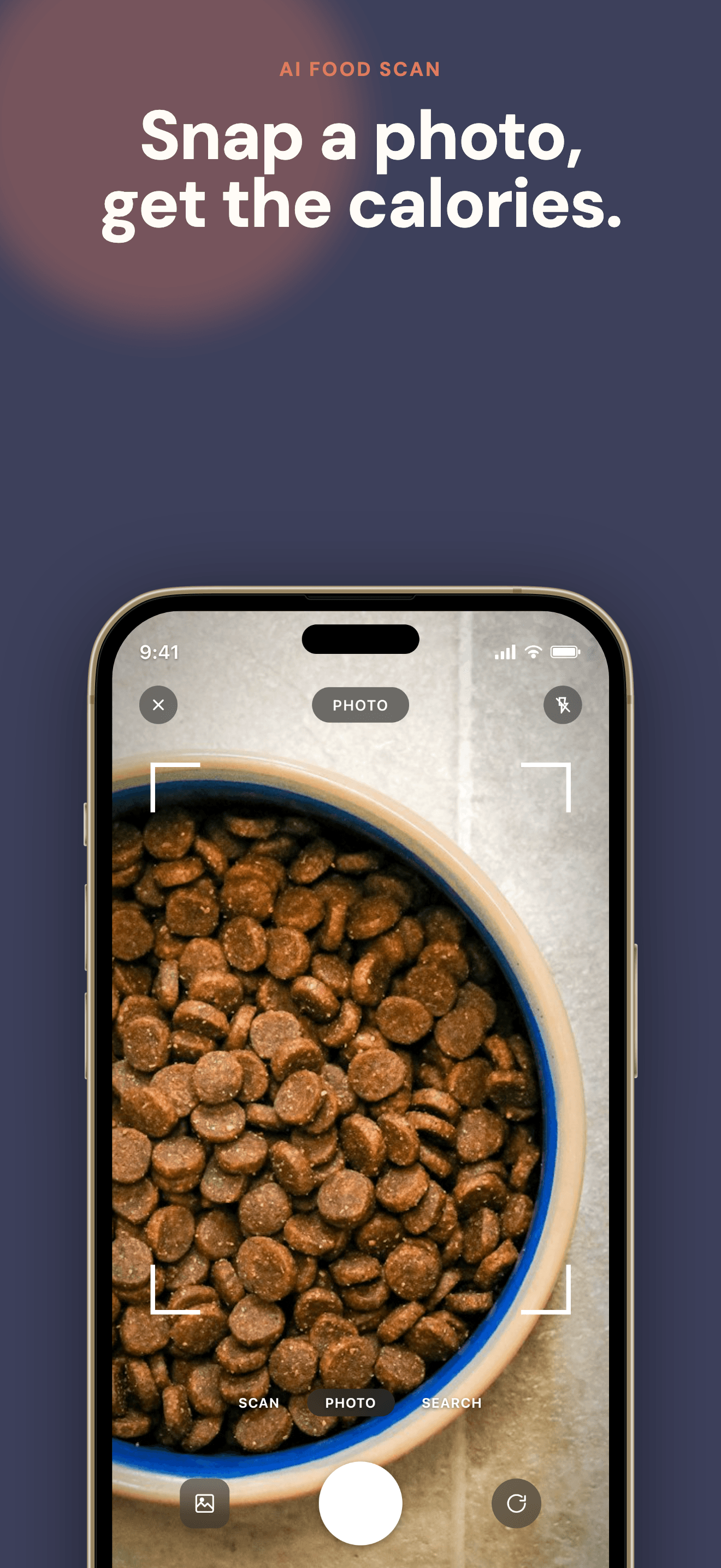 PetCal food scan — point the camera at food and get instant calorie counts